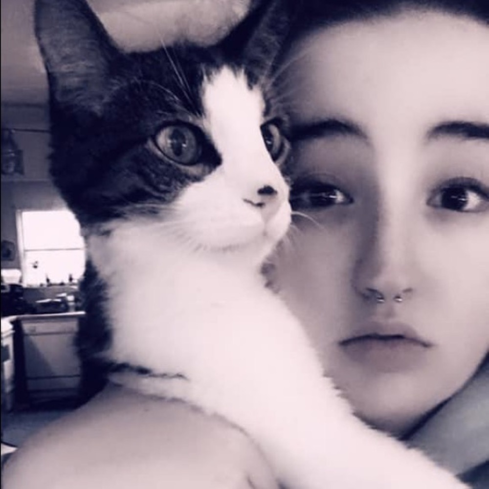 RIP 🐱 Frodo Baggins 😸 - Picture 2 of 8